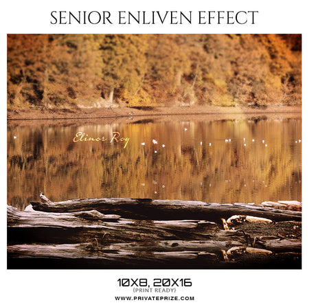 Elinor Roy  - Senior Enliven Effect Photoshop Template - Photography Photoshop Template