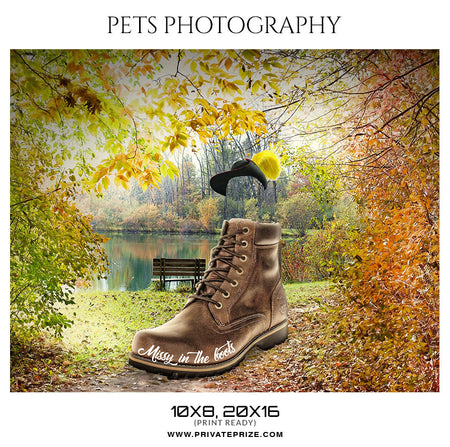MISSY IN THE BOOTS - PETS PHOTOGRAPHY - Photography Photoshop Template