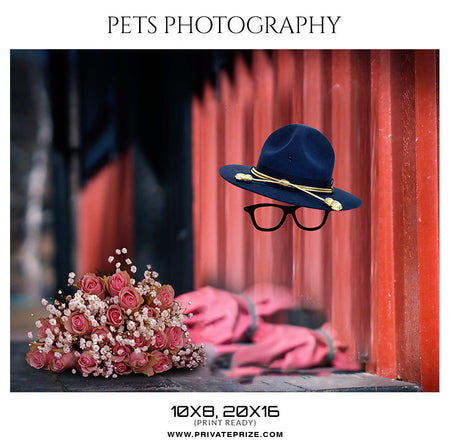 OSCAR - PETS PHOTOGRAPHY - Photography Photoshop Template