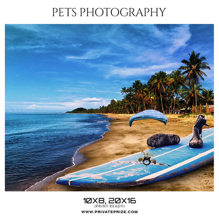 TIGGER - PETS PHOTOGRAPHY - Photography Photoshop Template