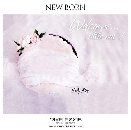 Sally Roy  New Born Photography Photoshop Templates - Photography Photoshop Template
