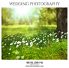 ARIA -  WEDDING PHOTOGRAPHY - Photography Photoshop Template