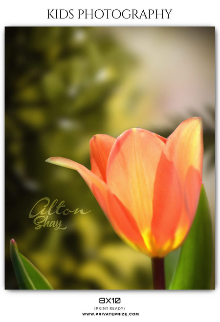 Alton Shay - Kids Photography - Photography Photoshop Template