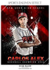 Carlos Alex -  Baseball Enliven Effect - PrivatePrize - Photography Templates