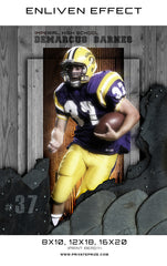 DeMarcus Imperial High School Sports Template -  Enliven Effects