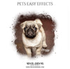 PETS - EASY EFFECTS - Photography Photoshop Template