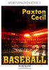 Paxton Cecil - Baseball Sports Enliven Effect Photography Template - PrivatePrize - Photography Templates