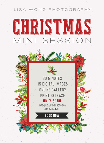 Christmas Mini Session Flyer Template for Photographers - Photography Photoshop Template