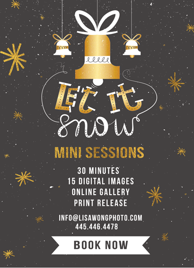 Winter Mini Session Flyer Template for Photographers - Photography Photoshop Templates