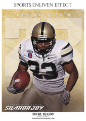Sharon Joy - Football Sports Enliven Effect Photography Template