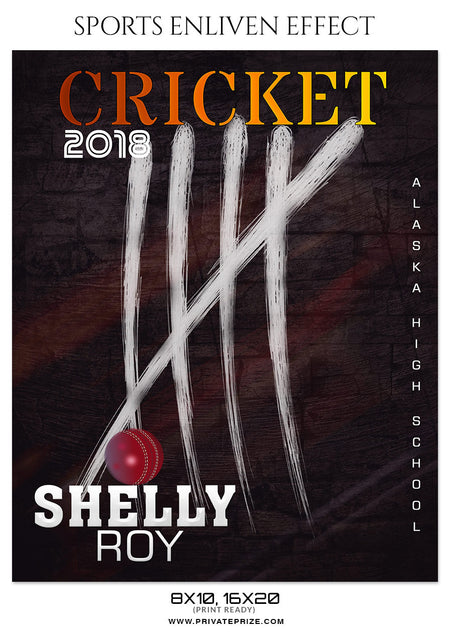 SHELLY ROY - CRICKET SPORTS PHOTOGRAPHY - Photography Photoshop Template