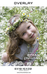 Wish you a very Merry Christmas Overlay