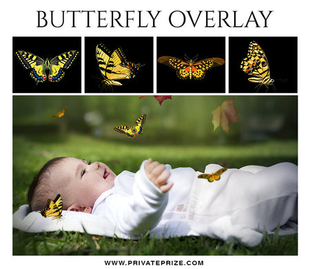 Butterfly Overlays - Photography Photoshop Template