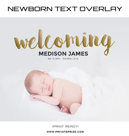 Welcoming Golden Font Overlay - Photography Photoshop Templates