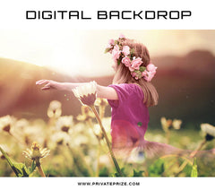 Digital Backdrop - Afternoon Rays