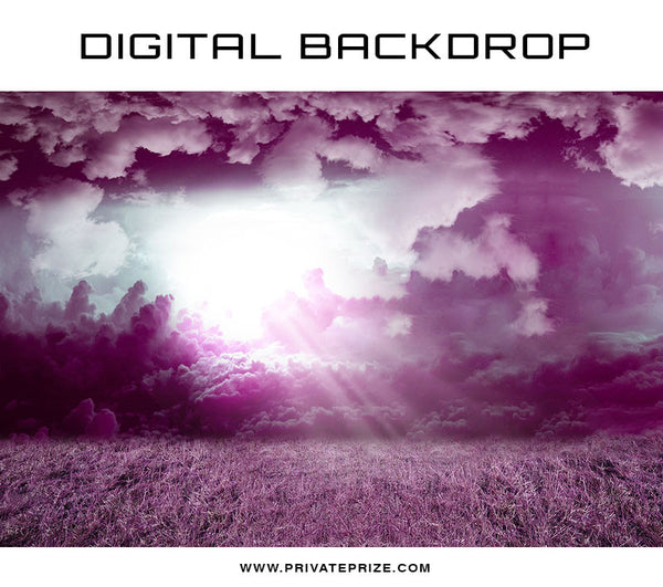 Digital Backdrop - Purple Rays - Photography Photoshop Template