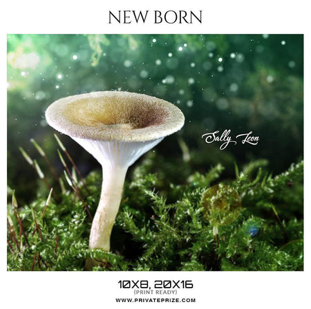 Sally Leon - New Born Photography - PrivatePrize - Photography Templates