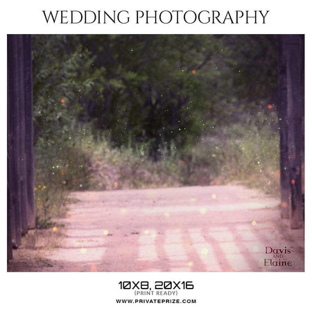 Davis and Elaine - Wedding Photography - PrivatePrize - Photography Templates