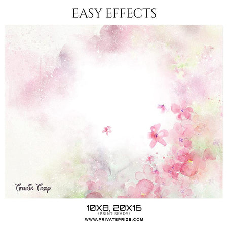Terrin Troy - Easy Effects - PrivatePrize - Photography Templates