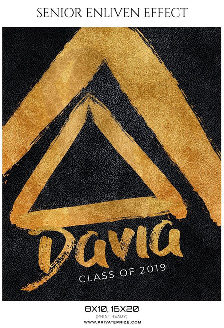 Davia - Senior Enliven Effect Photography Template - PrivatePrize - Photography Templates