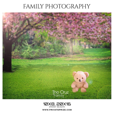 The Cruz Family - Family Photography - PrivatePrize - Photography Templates