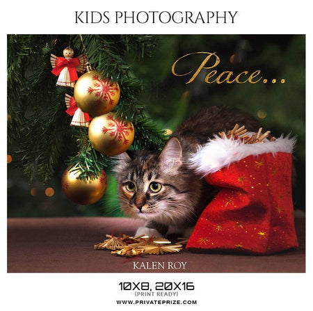 Kalen Roy - Christmas Kids Photography Photoshop Template - PrivatePrize - Photography Templates