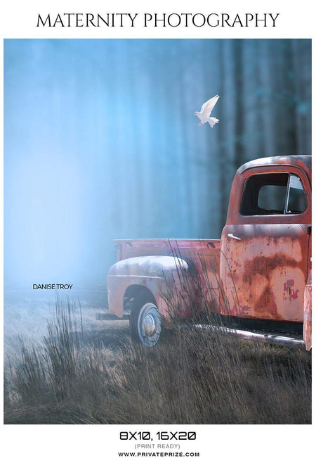 Danise Troy - Maternity Photography - PrivatePrize - Photography Templates