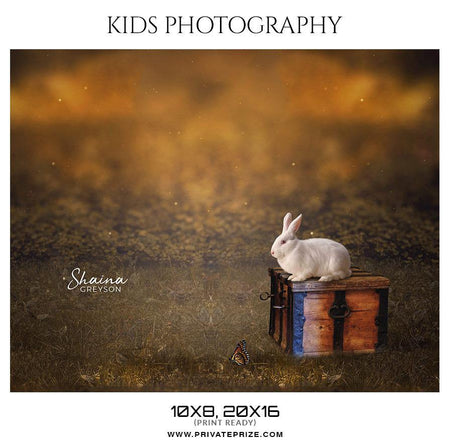 Shaina Greyson - Kids Photography Photoshop Templates - PrivatePrize - Photography Templates