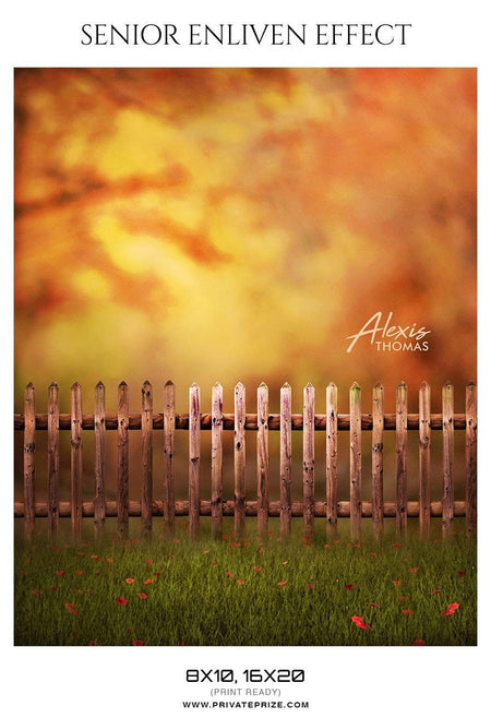 Alexis Thomas - Senior Enliven Effect Photography Template - PrivatePrize - Photography Templates
