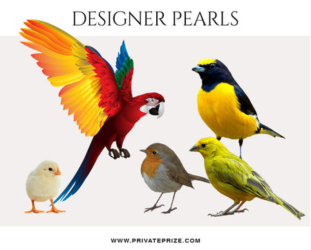 Birds- Designer Pearls - Photography Photoshop Template