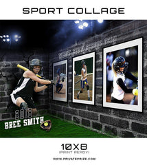 3D Wall Soft Ball - Sports Collage