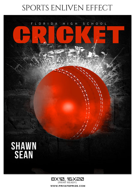 SHAWN SEAN - CRICKET SPORTS PHOTOGRAPHY - Photography Photoshop Template