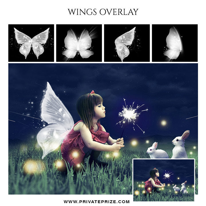 Wings Overlays - Photography Photoshop Template