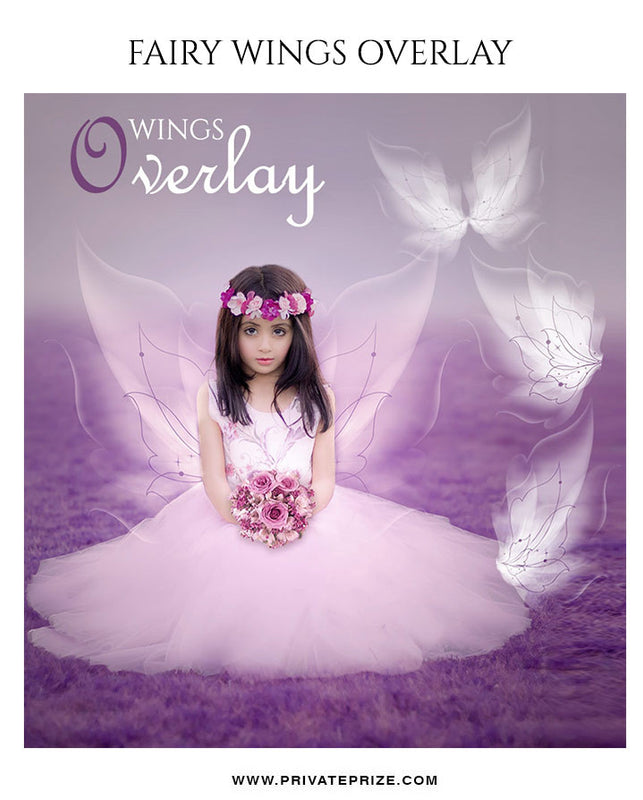Wings Overlay - Photography Photoshop Template