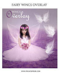 Wings Overlay