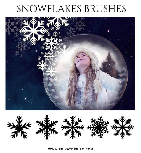 Snow Flakes Brushes and Digital Overlays - PrivatePrize - Photography Templates